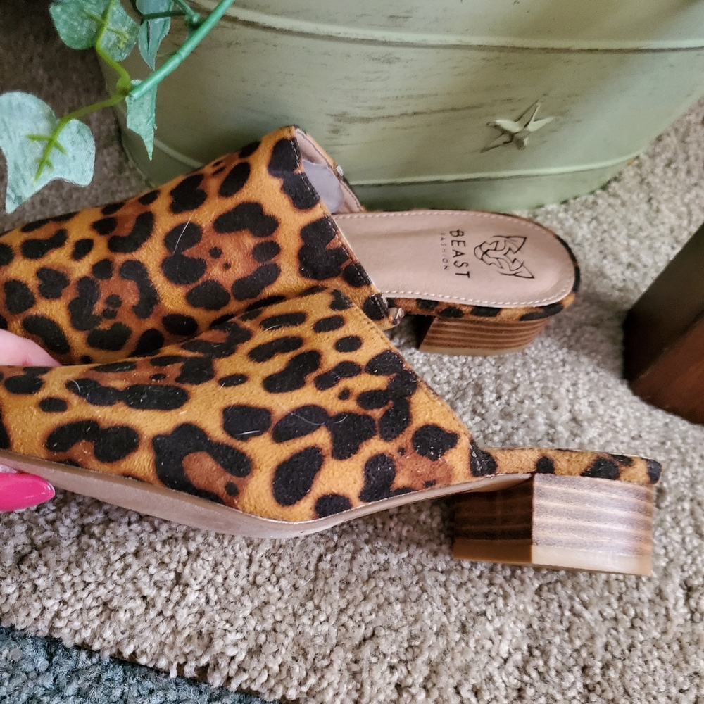 Cute Beast Mules. New